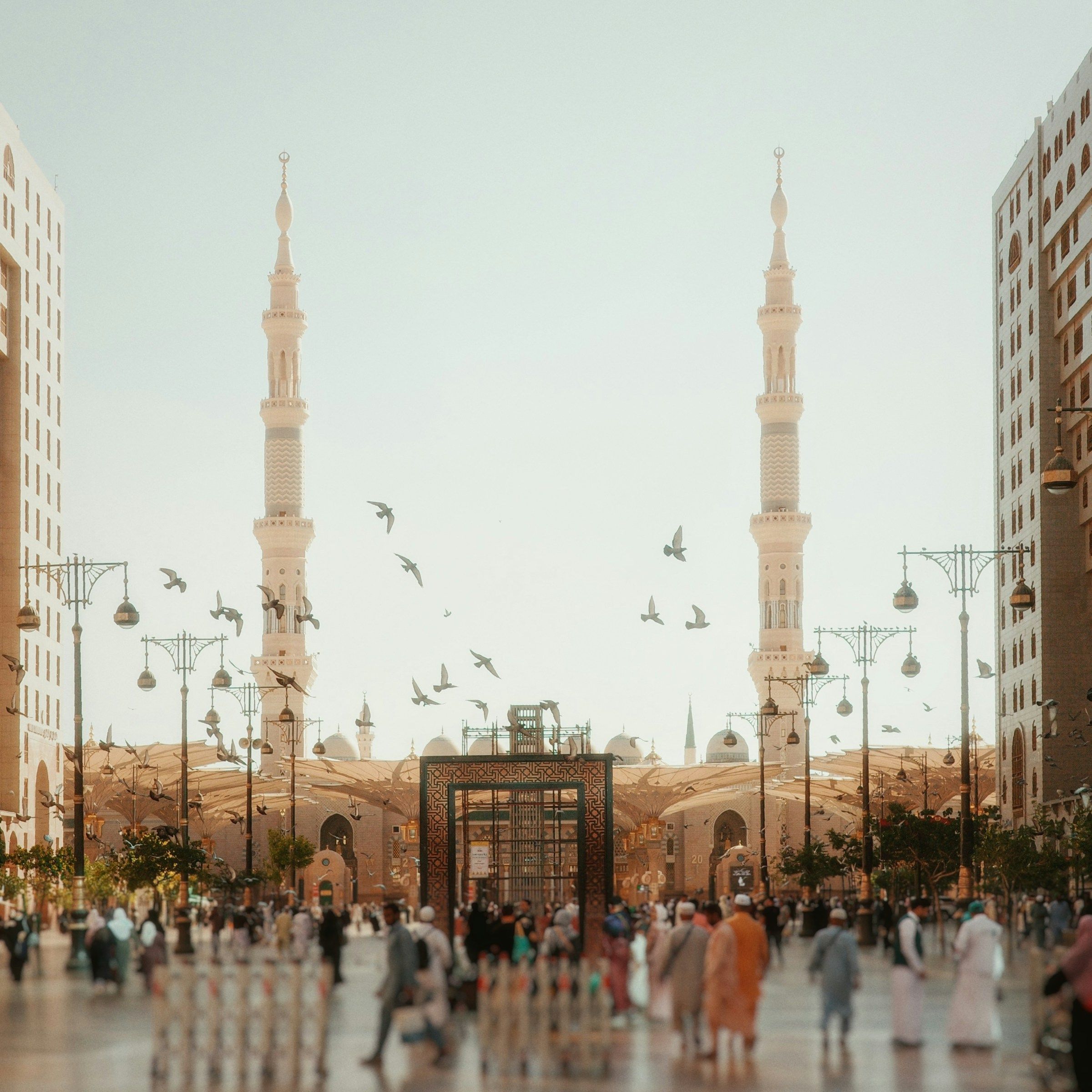 The plaza outside Al-Masjid an-Nabawi at dawn, framed by the hotels on either side